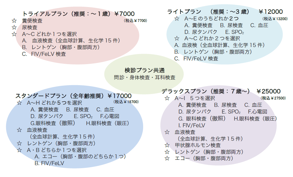 ネコちゃんの健康診断プラン