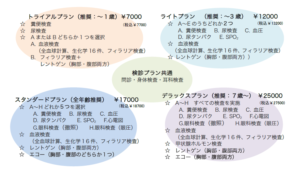 ワンちゃんの健康診断プラン